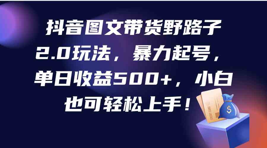 （9790期）抖音图文带货野路子2.0玩法，暴力起号，单日收益500+，小白也可轻松上手！-副业项目资源网