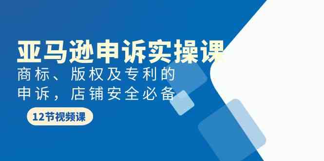 （9754期）亚马逊-申诉实战课，​商标、版权及专利的申诉，店铺安全必备-副业项目资源网