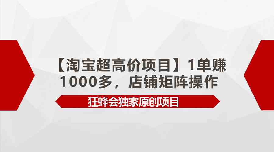 （9849期）【淘宝超高价项目】1单赚1000多，店铺矩阵操作-副业项目资源网