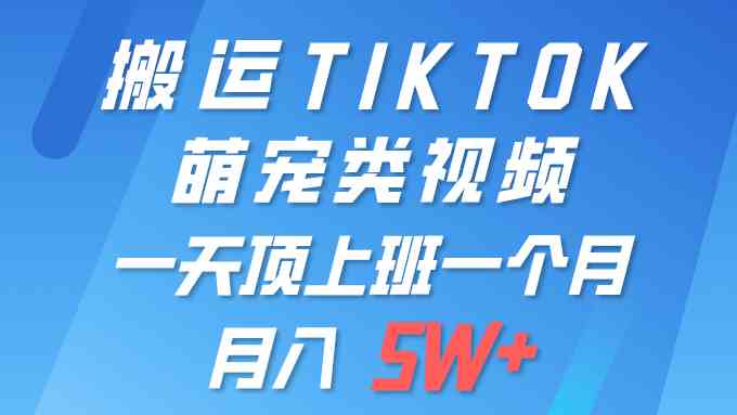 （9931期）一键搬运TIKTOK萌宠类视频 一部手机即可操作 所有平台均可发布 轻松月入5W+-副业项目资源网