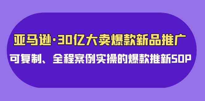 （9944期）亚马逊30亿·大卖爆款新品推广，可复制、全程案例实操的爆款推新SOP-副业项目资源网