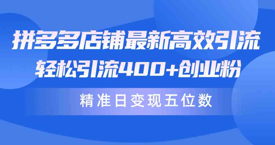 （10041期）拼多多店铺最新高效引流术，轻松引流400+创业粉，精准日变现五位数！-副业项目资源网