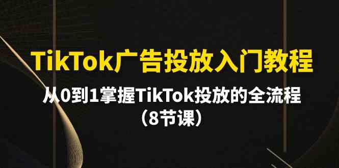 （10085期）TikTok广告投放入门教程，从0到1掌握TikTok投放的全流程（8节课）-副业项目资源网