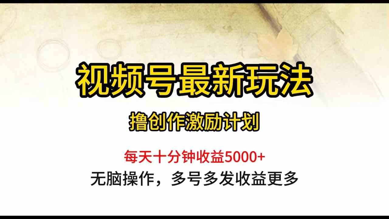 （10087期）视频号最新玩法，每日一小时月入5000+-副业项目资源网