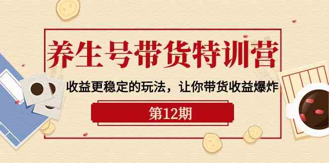 （10110期）养生号带货特训营【12期】收益更稳定的玩法，让你带货收益爆炸-9节直播课-副业项目资源网