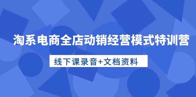 （10192期）淘系电商全店动销经营模式特训营，线下课录音+文档资料-副业项目资源网