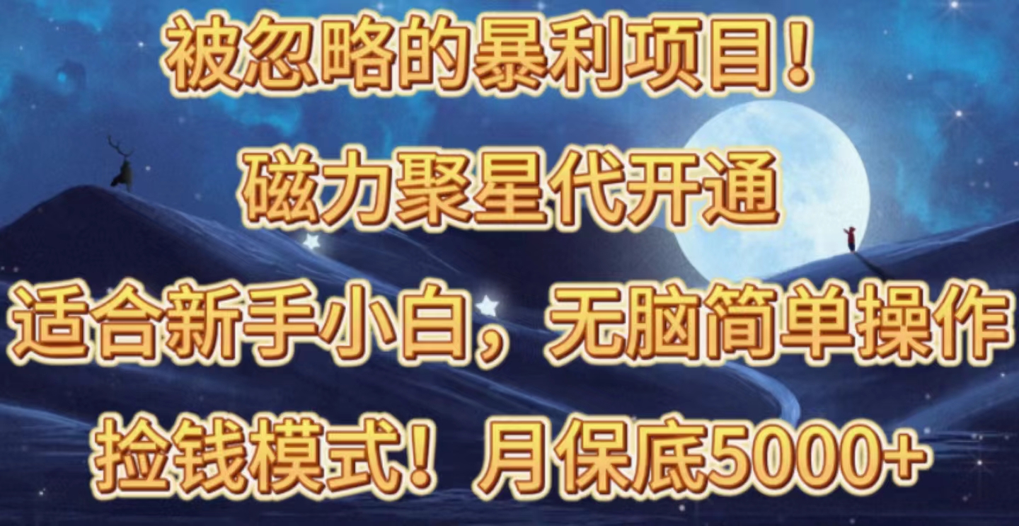 （10245期）被忽略的暴利项目！磁力聚星代开通捡钱模式，轻松月入五六千-副业项目资源网