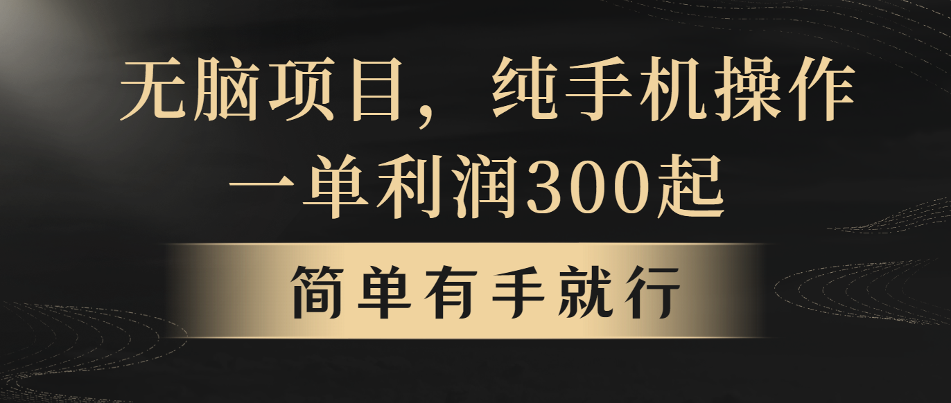 （10699期）无脑项目，一单几百块，轻松月入5w+，看完就能直接操作-副业项目资源网