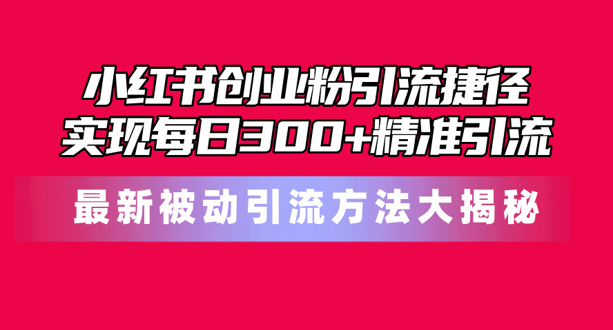 （10692期）小红书创业粉引流捷径！最新被动引流方法大揭秘，实现每日300+精准引流-副业项目资源网