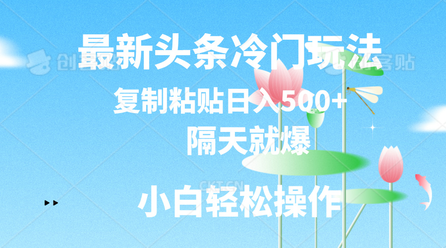 （11414期）最新头条冷门玩法，隔天就爆，复制粘贴日入500+-副业项目资源网