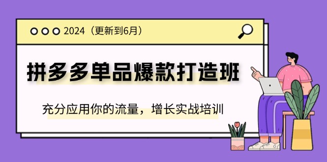 （11556期）2024拼多多-单品爆款打造班(更新6月)，充分应用你的流量，增长实战培训-副业项目资源网