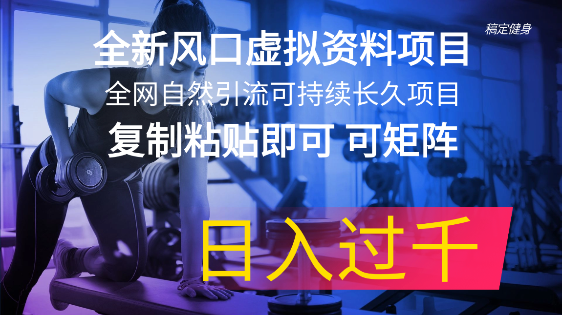 （11587期）全新风口虚拟资料项目 全网自然引流可持续长久项目 复制粘贴即可可矩阵…-副业项目资源网