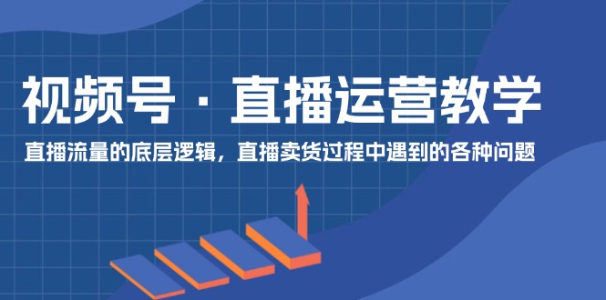 （11687期）视频号 直播运营教学：直播流量的底层逻辑，直播卖货过程中遇到的各种问题-副业项目资源网