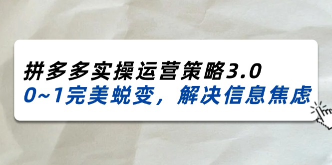 （11658期）2024_2025拼多多实操运营策略3.0，0~1完美蜕变，解决信息焦虑（38节）-副业项目资源网