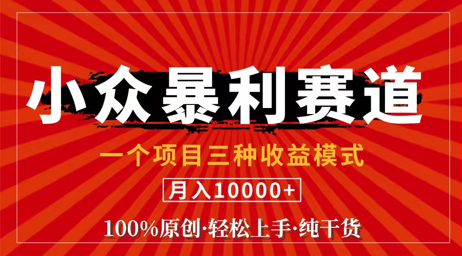 （11695期）视频号【中老年粉深信不疑】小众赛道 100%原创 手把手教学 新号3天收益…-副业项目资源网