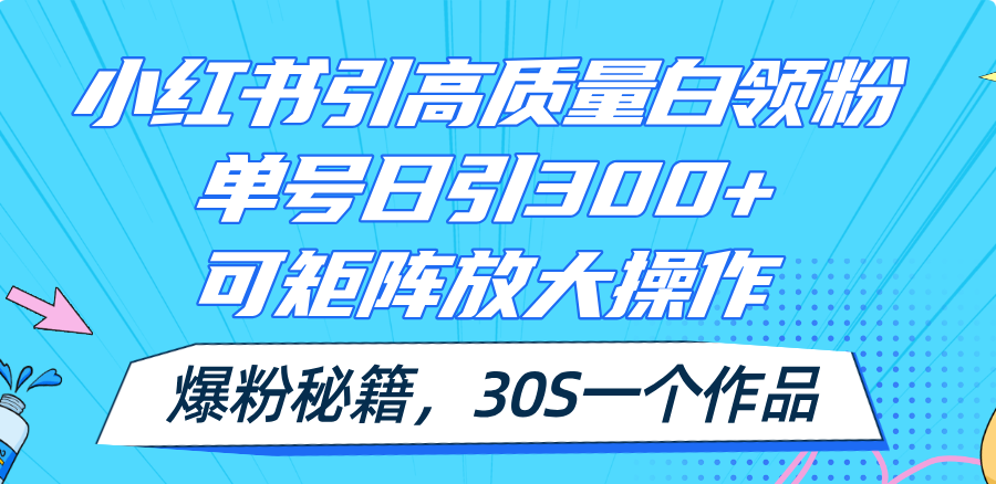 （11692期）小红书引高质量白领粉，单号日引300+，可放大操作，爆粉秘籍！30s一个作品-副业项目资源网