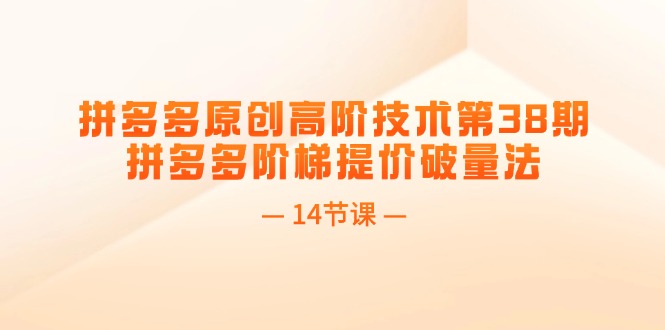 （11704期）拼多多原创高阶技术第38期，拼多多阶梯提价破量法（14节课）-副业项目资源网