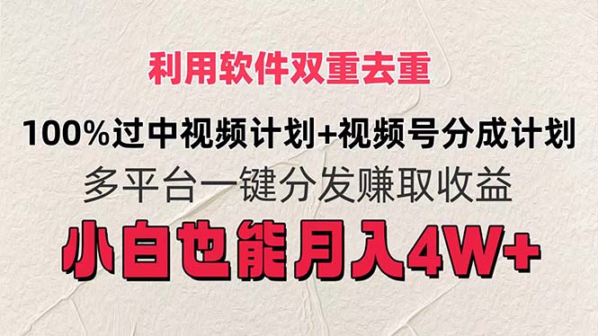 （11862期）利用软件双重去重，100%过中视频+视频号分成计划小白也可以月入4W+-副业项目资源网