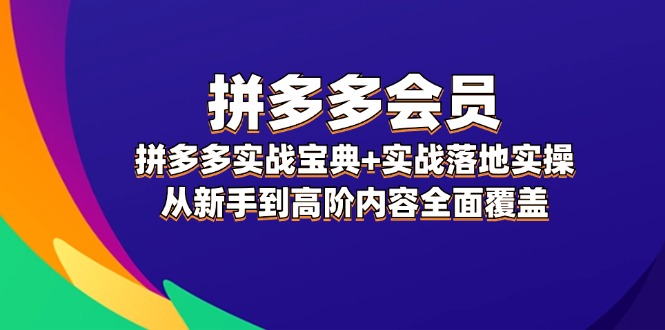 （12056期）拼多多 会员，拼多多实战宝典+实战落地实操，从新手到高阶内容全面覆盖-副业项目资源网