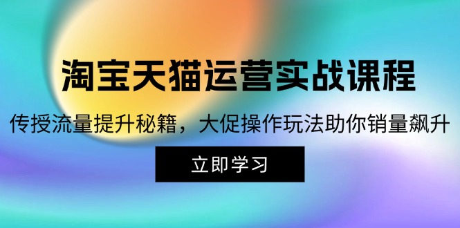 （12959期）淘宝&天猫运营实战课程，传授流量提升秘籍，大促操作玩法助你销量飙升-副业项目资源网