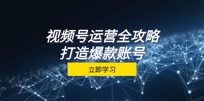 （12912期）视频号运营全攻略，从定位到成交一站式学习，视频号核心秘诀，打造爆款…-副业项目资源网