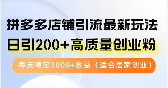 （12892期）拼多多店铺引流最新玩法，日引200+高质量创业粉，每天稳定1000+收益（…-副业项目资源网