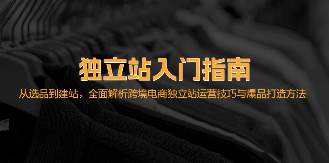 （12882期）独立站入门指南：从选品到建站，全面解析跨境电商独立站运营技巧与爆品…-副业项目资源网