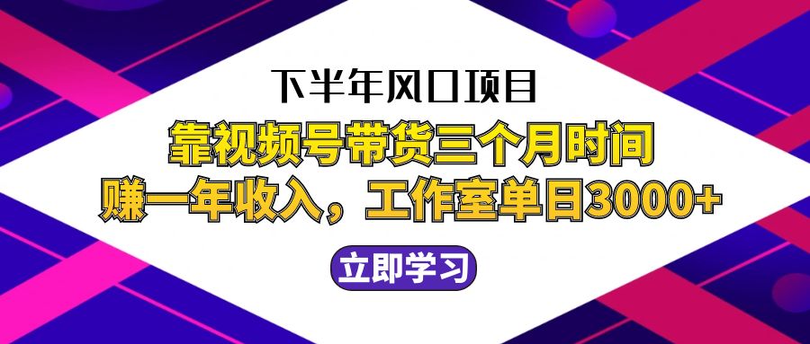 （12849期）下半年风口项目，靠视频号带货三个月时间赚一年收入，工作室实测单日3…-副业项目资源网