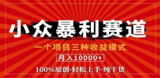 （12756期）视频号最新爆火赛道，三种可收益模式，0粉新号条条原创条条热门 日入1000+-副业项目资源网