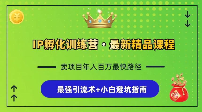 （13055期）IP孵化训练营，知识付费全流程+最强引流术+小白避坑指南-副业项目资源网