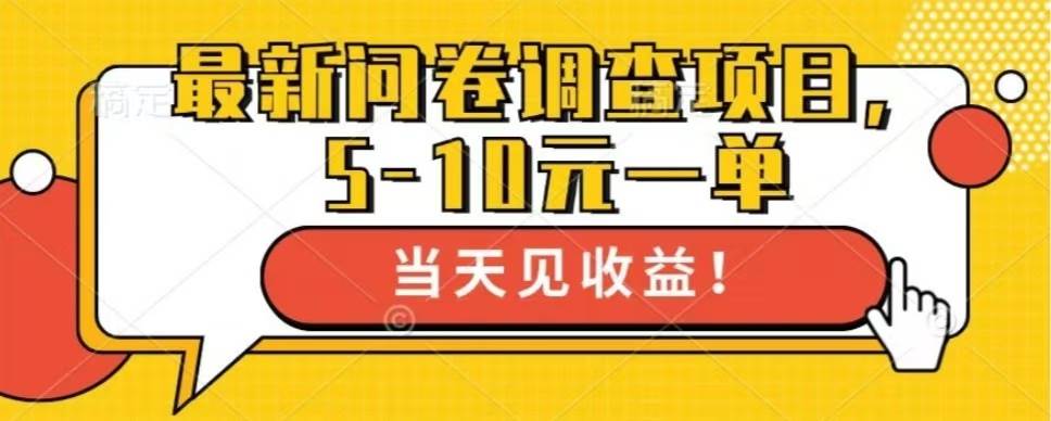 （13167期）最新问卷调查项目，单日零撸100＋-副业项目资源网