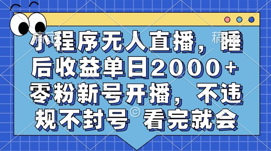 （13251期）小程序无人直播，睡后收益单日2000+ 零粉新号开播，不违规不封号 看完就会-副业项目资源网