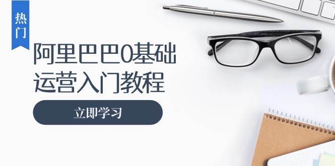 （13291期）阿里巴巴运营零基础入门教程：涵盖开店、运营、推广，快速成为电商高手-副业项目资源网