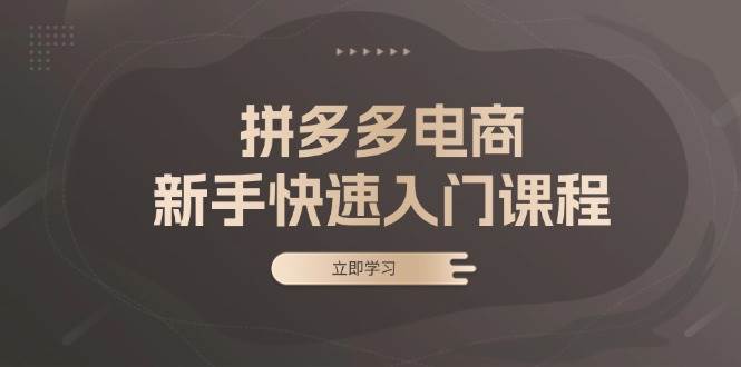 （13289期）拼多多电商新手快速入门课程：涵盖基础、实战与选款，助力小白轻松上手-副业项目资源网