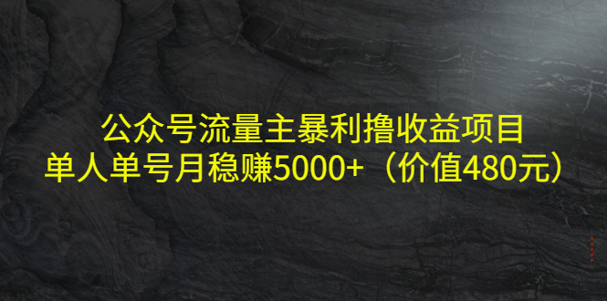 （4011期）公众号流量主暴利撸收益项目，单人单号月稳赚5000+（价值480元）-副业库