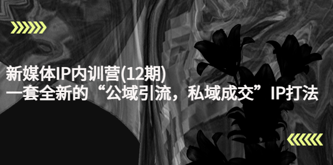 （4103期）新媒体IP内训营(12期)，一套全新的“公域引流，私域成交”IP打法，直接带走-副业库