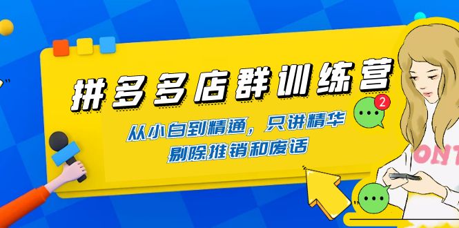 （4318期）拼多多店群训练营：从小白到精通，只讲精华，剔除推销和废话-副业库
