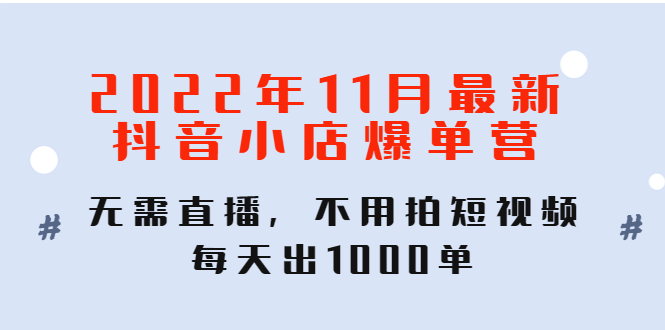 （4356期）2022年11月最新抖音小店爆单训练营：无需直播，不用拍短视频，每天出1000单-副业库