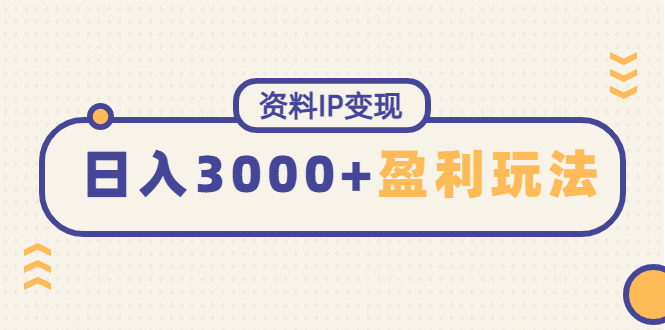 （4576期）资料IP变现，能稳定日赚3000起的持续性盈利玩法-副业库