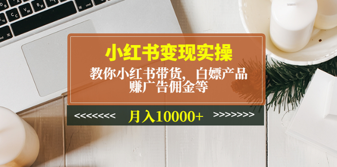 （4780期）小红书变现实操：教你小红书带货，白嫖产品，赚广告佣金等，月入10000+-副业库