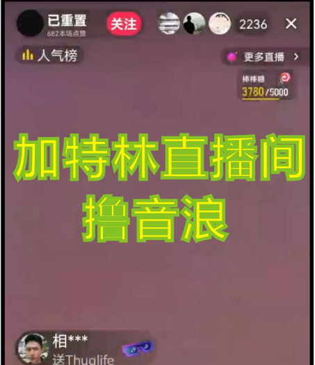 图片[2]-（4791期）2023抖音加特林直播间搭建技术，0粉开播-暴力撸音浪-日入800+【素材+教程】-副业库