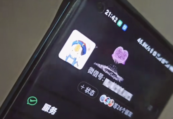 图片[2]-（4980期）微信动态昵称设置方法，可抖音直播引流，日赚上百【详细视频教程+素材】-副业库