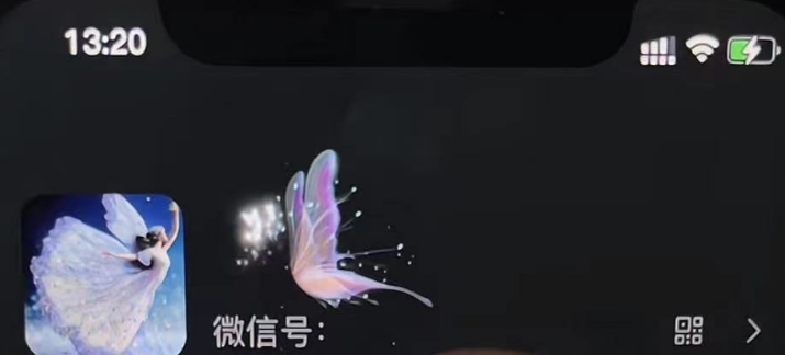 图片[3]-（4980期）微信动态昵称设置方法，可抖音直播引流，日赚上百【详细视频教程+素材】-副业库