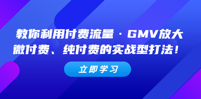 （5106期）教你利用付费流量·GMV放大，微付费、纯付费的实战型打法！-副业库