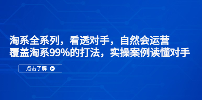（5233期）淘系全系列，看透对手，自然会运营，覆盖淘系99%·打法，实操案例读懂对手-副业库