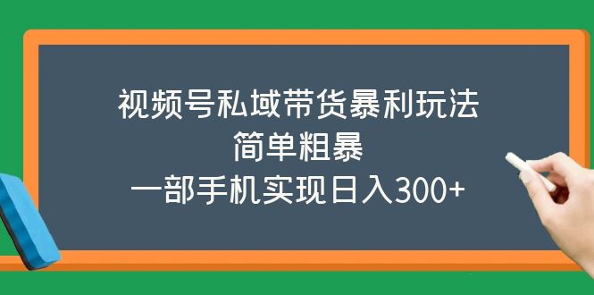 （5544期）视频号私域带货暴利玩法，简单粗暴，一部手机实现日入300+-副业库