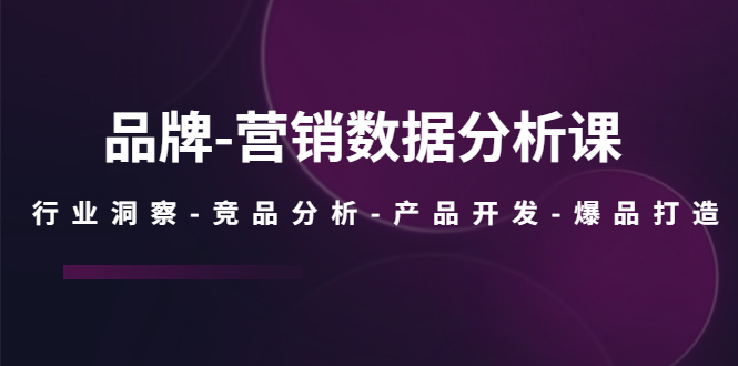 （5565期）品牌-营销数据分析课，行业洞察-竞品分析-产品开发-爆品打造-副业库