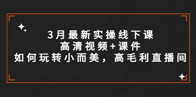 （5597期）3月最新实操线下课高清视频+课件，如何玩转小而美，高毛利直播间-副业库