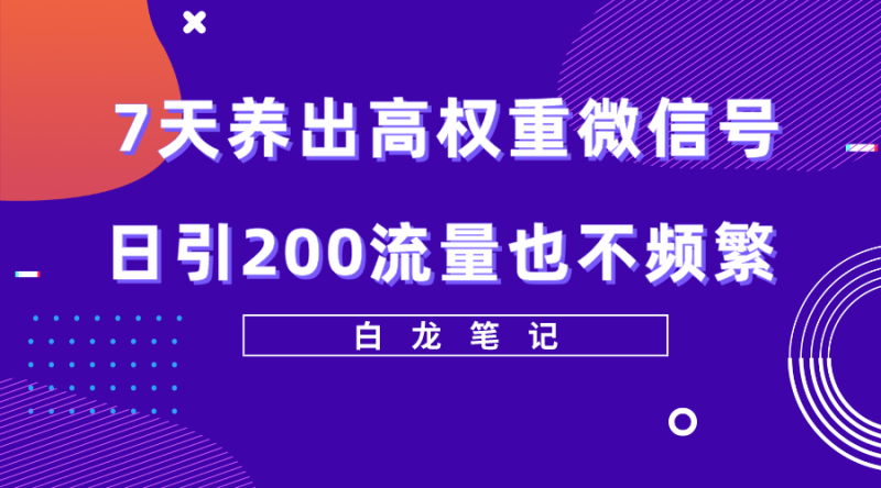 (5630期)7天养出高权重微信号,日引200流量也不频繁,方法价值3680元-副业库