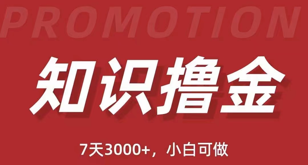 （5629期）抖音知识撸金项目：简单粗暴日入1000+执行力强当天见收益(教程+资料)-副业库